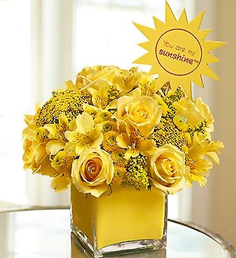 You Are My Sunshine