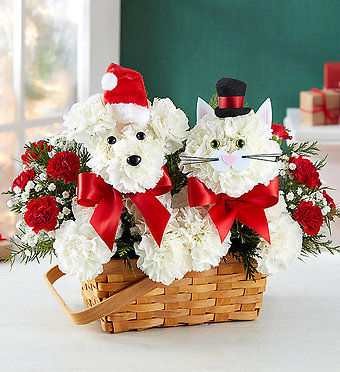 Playful Paws&trade; for Holiday