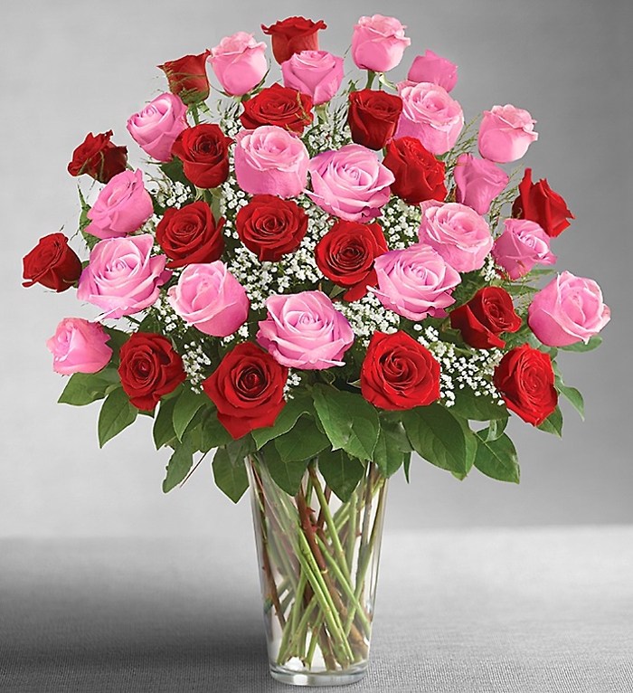 Long Stem Pink & Red Roses