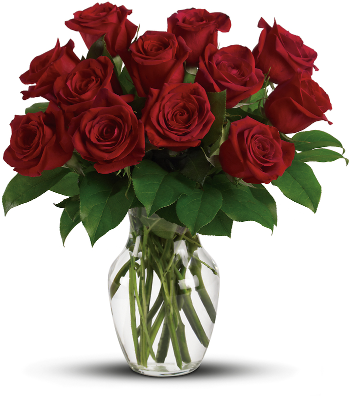 Enduring Passion - Red Roses