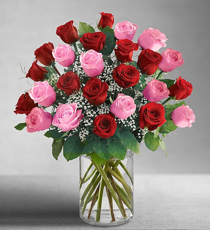 Long Stem Pink & Red Roses