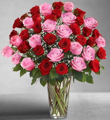 Long Stem Pink & Red Roses