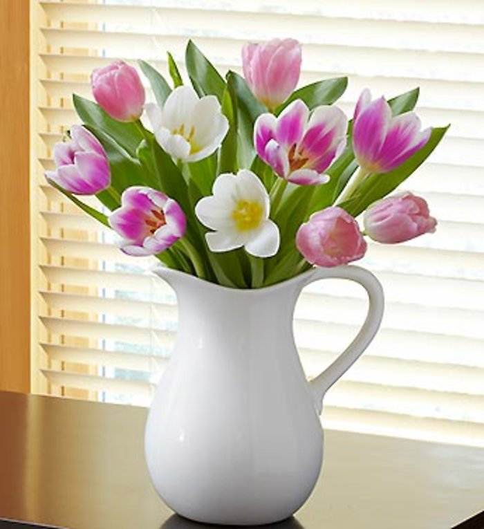 Pitcher Full of Tulips