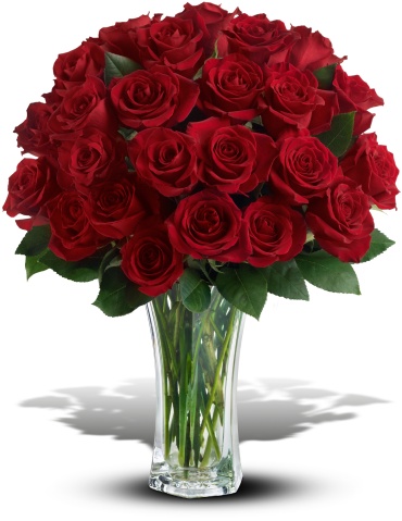 Love and Devotion - 2 Dozen Long Stemmed Red Roses