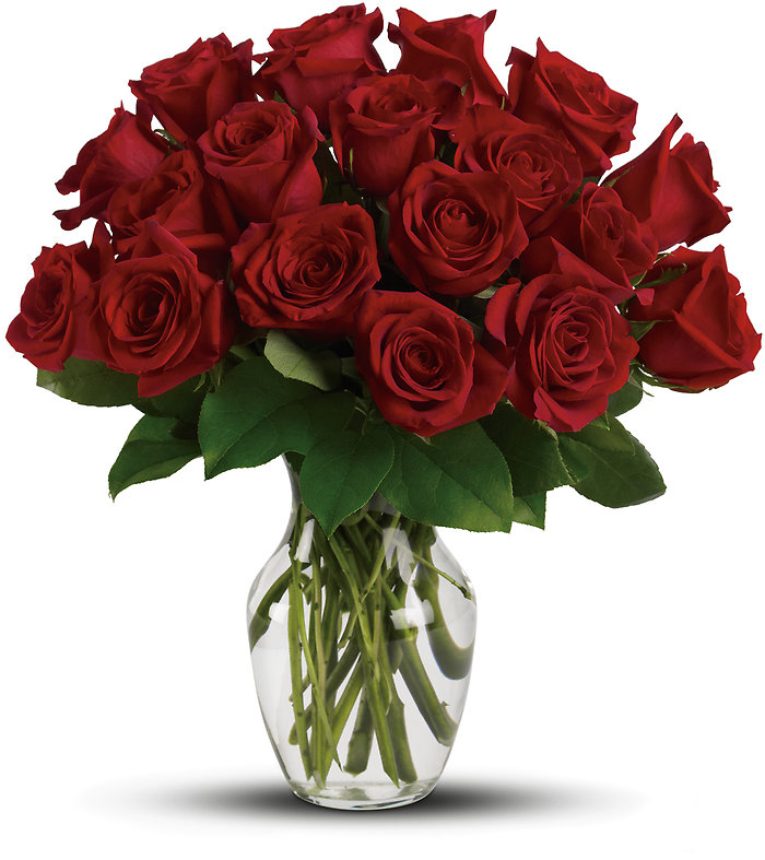 Enduring Passion - Red Roses