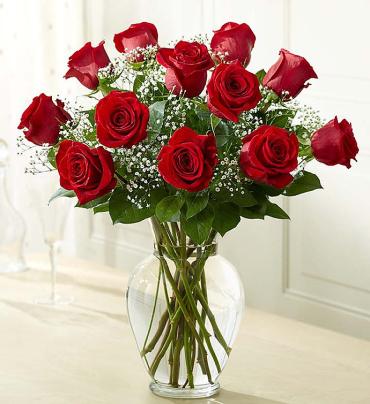Rose Elegance Premium Long Stem Red Roses